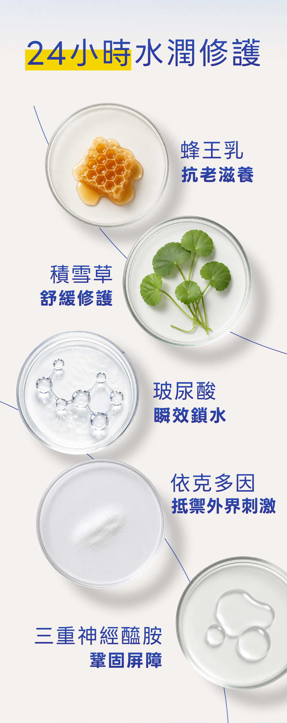 背景圖 7